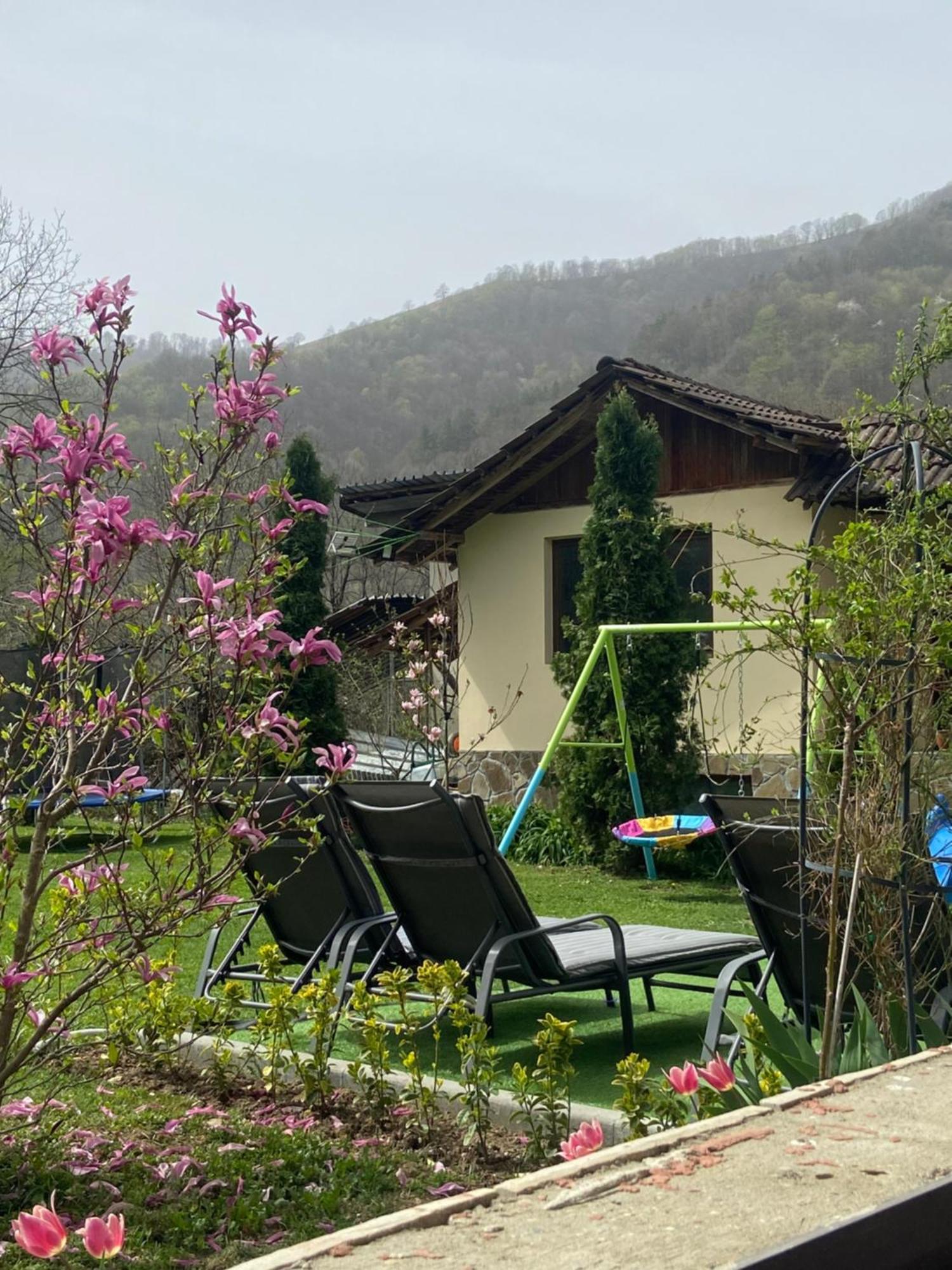 Guest House Rest Cherni Osum Exterior photo
